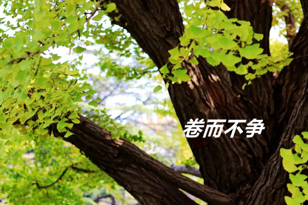 ONE游戏官网-皇马巴塞赞助商