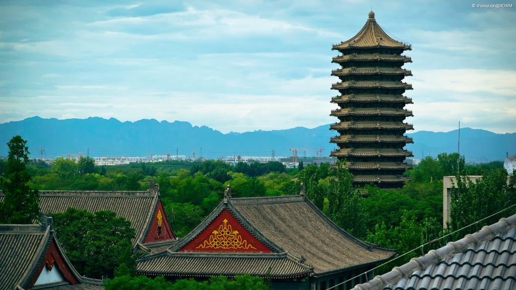 杰出回首 | 【思想汇·行动派】职业分享会