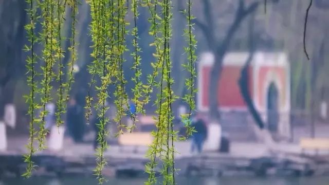 ONE游戏官网-皇马巴塞赞助商